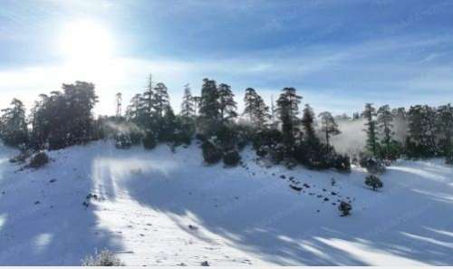 تساقطات ثلجية وطقس بارد وأمطار قوية من الثلاثاء إلى الخميس بعدد من مناطق المملكة